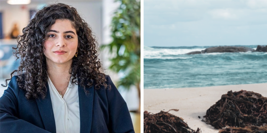 Till vänster: Janna Naser, algentreprenören står med mörkt lockigt hår och formell klädsel och tittar in i kameran. Till höger: en strand med tång och havsvågor som slår mot klippor i bakgrunden.
