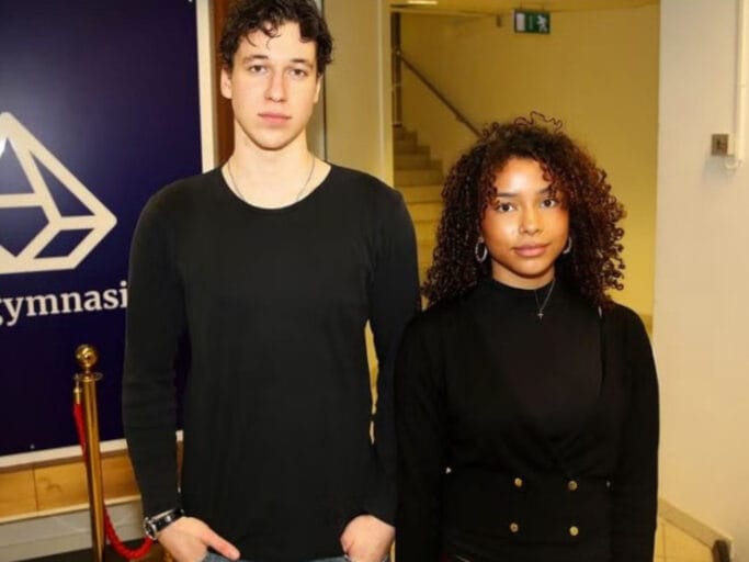 Skärmklipp från VLT.