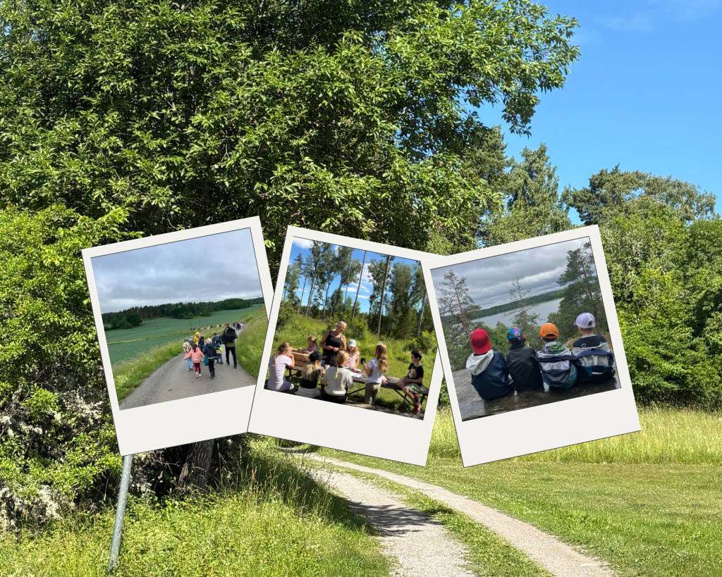Kollage av olika bilder.